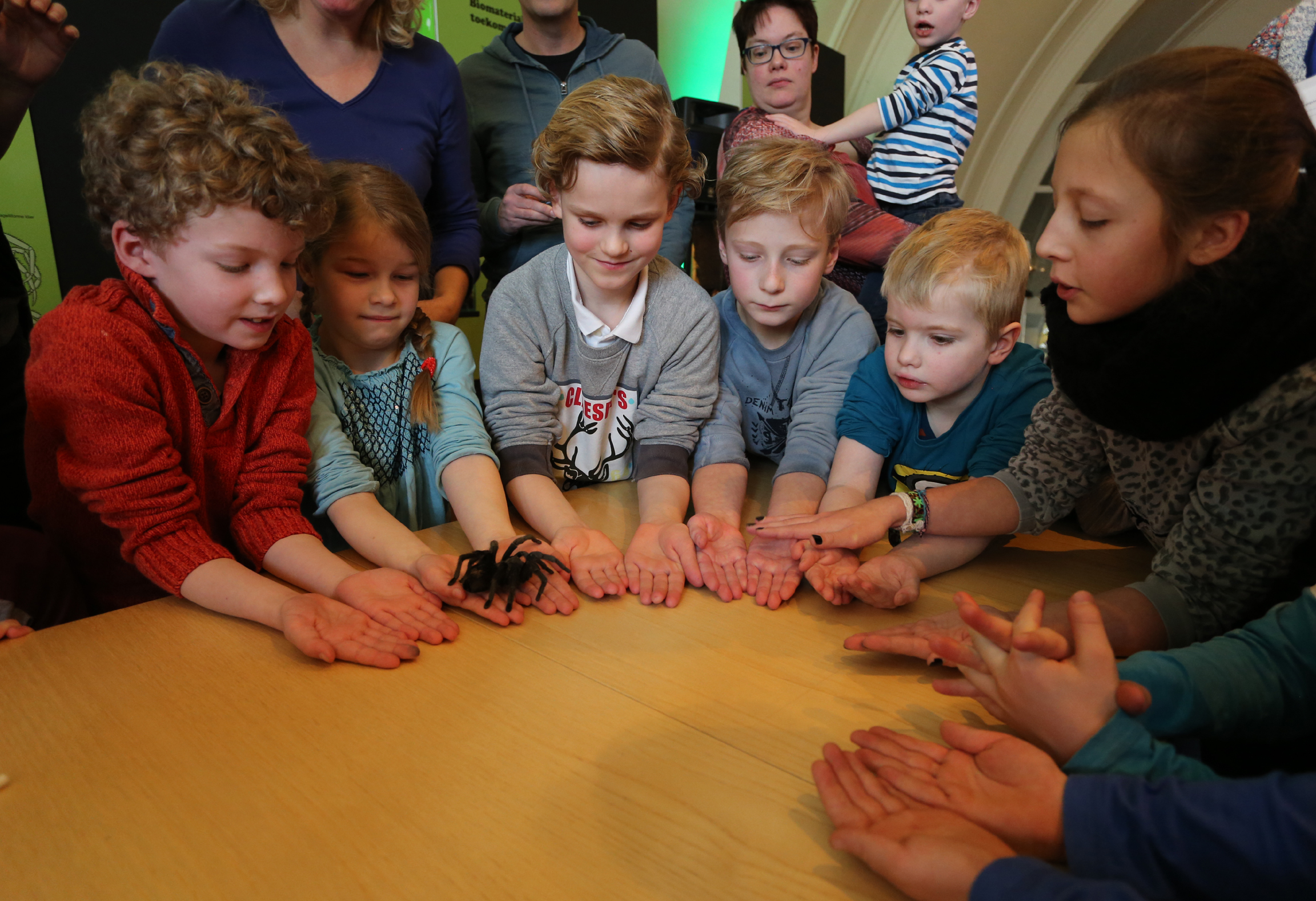 De goed bezochte tentoonstelling Spannende Spinnen in Natuurmuseum Nijmegen in 2015