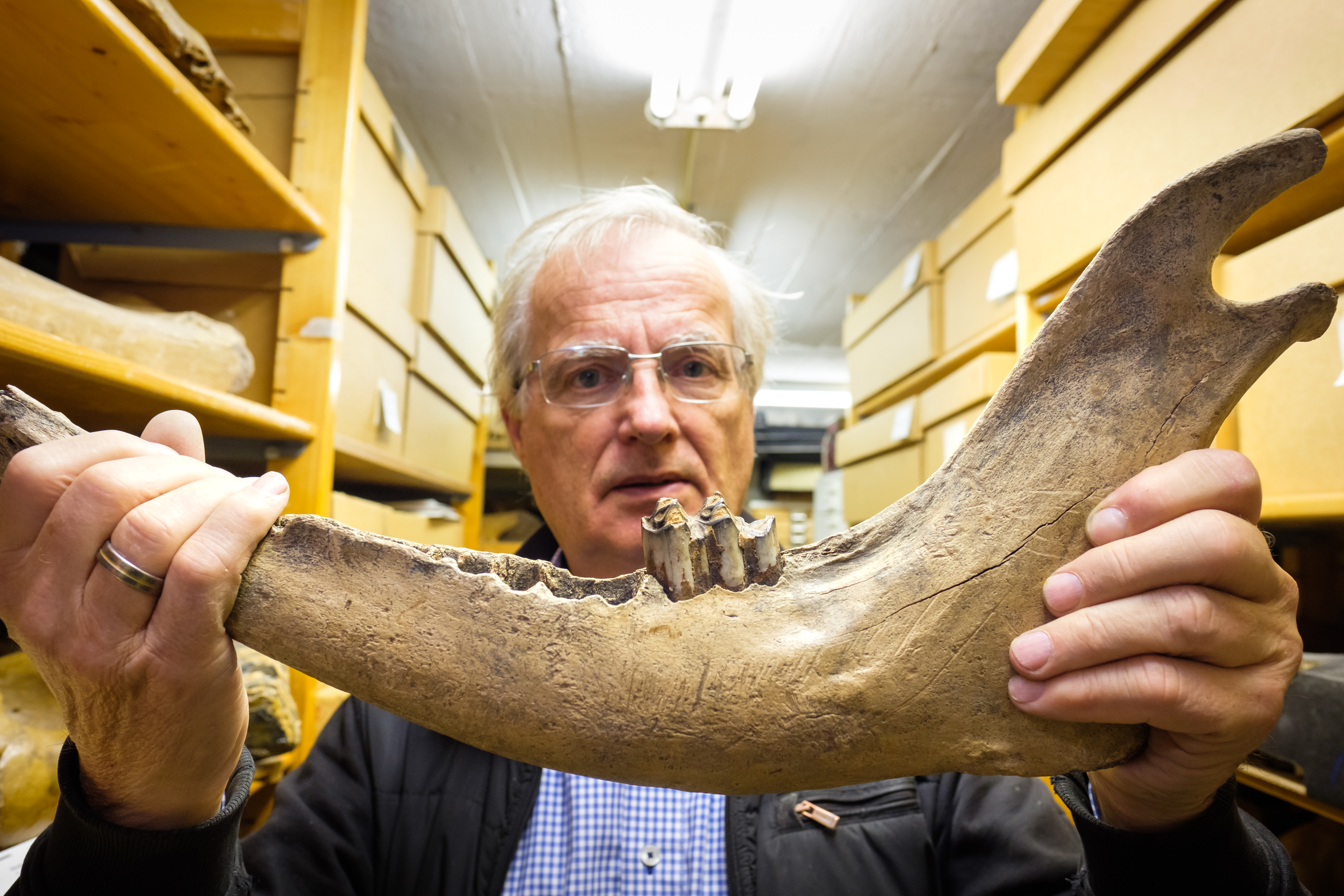 Ga op 6 en 7 oktober 2018 backstage in het depot van De Bastei!