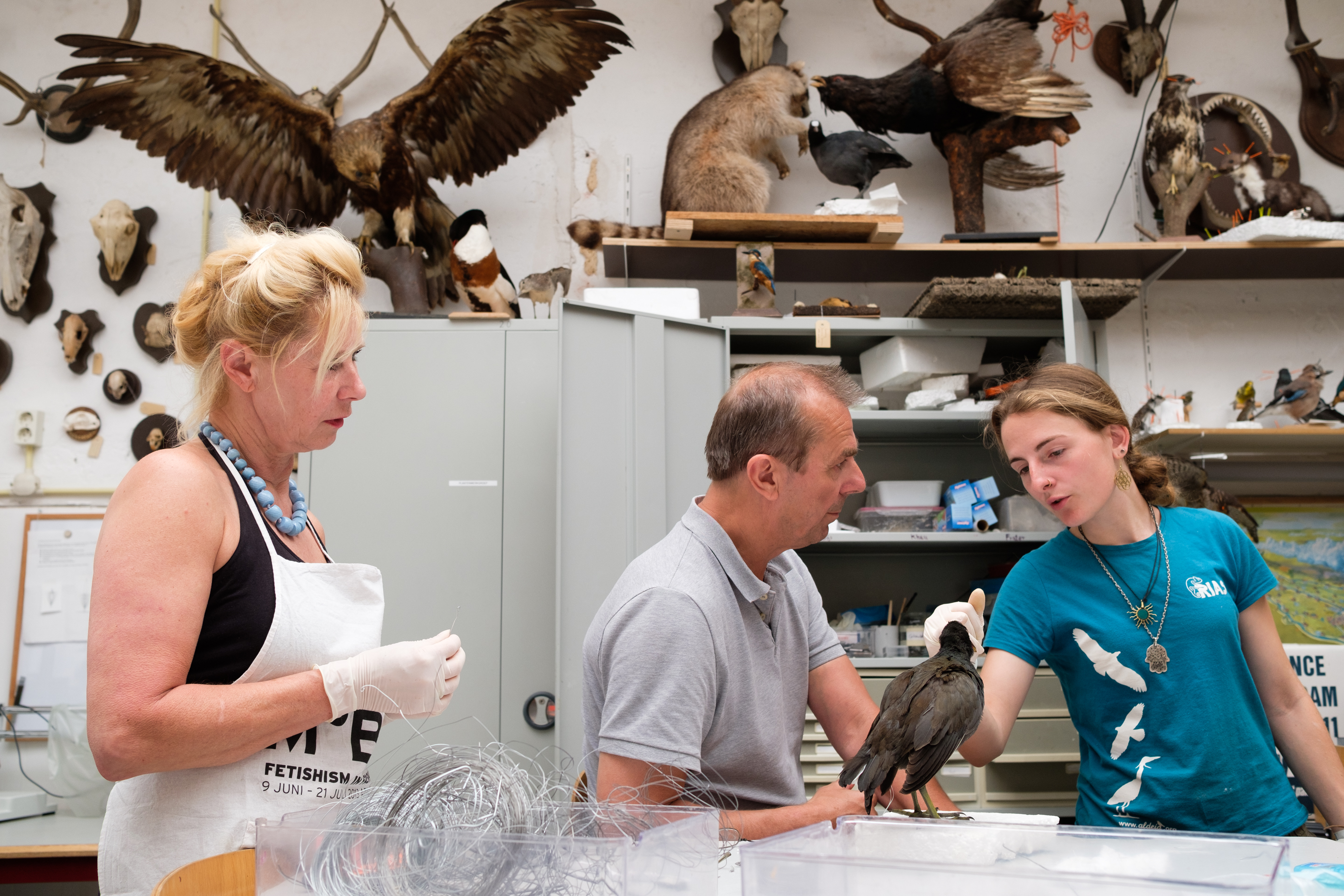 Kom tijdens het Weekend van de Wetenschap 2018 naar De Bastei voor een demonstratie dieren opzetten!