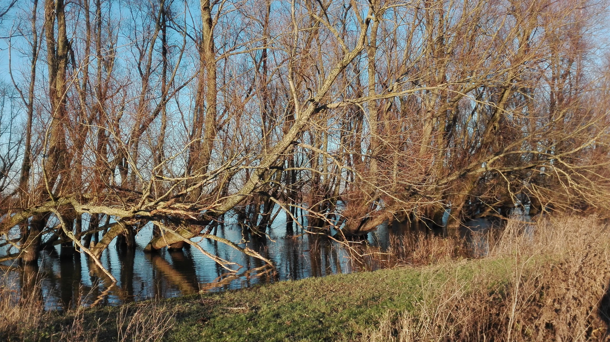 Beleef de Waal in stilte