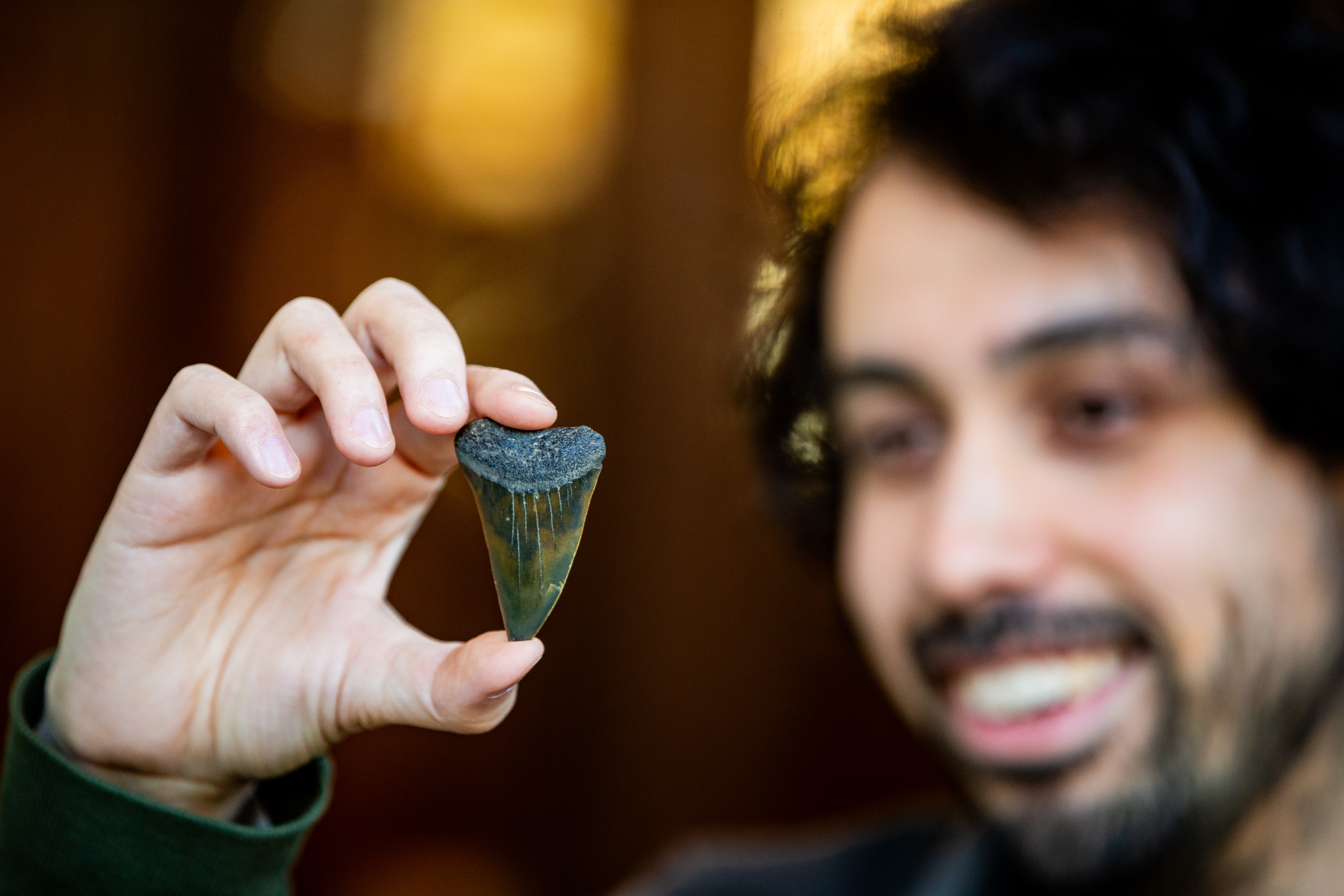 Bottenprofessor houdt gefossiliseerde haaientand omhoog.