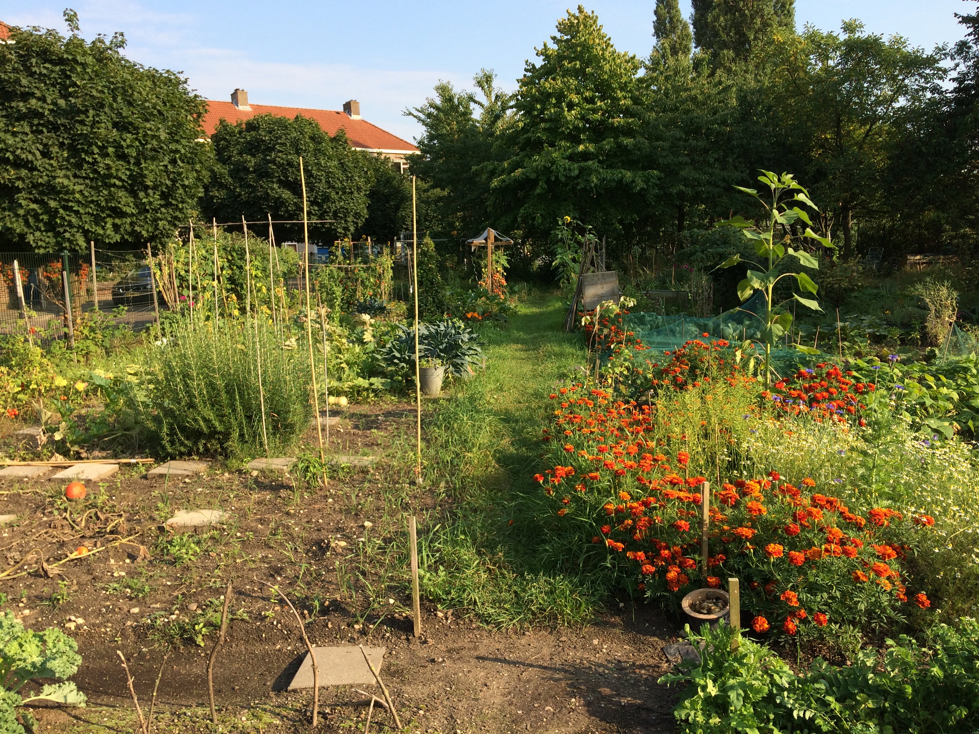 Nijmeegs Natuurfestival - Buurtmoestuin Bottendaal
