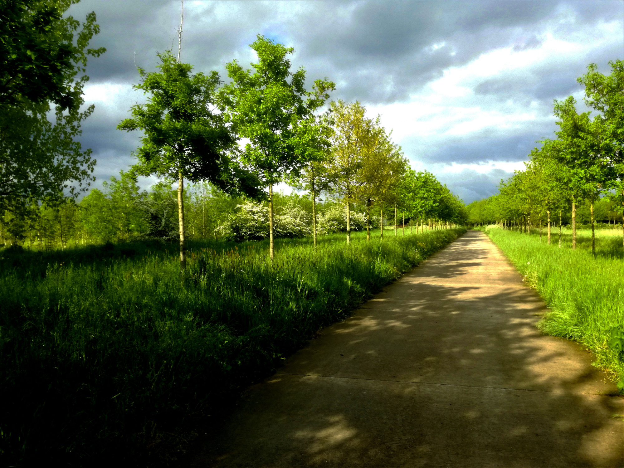 Nijmeegs Natuurfestival - Natuurbeleving Nijmegen Noord