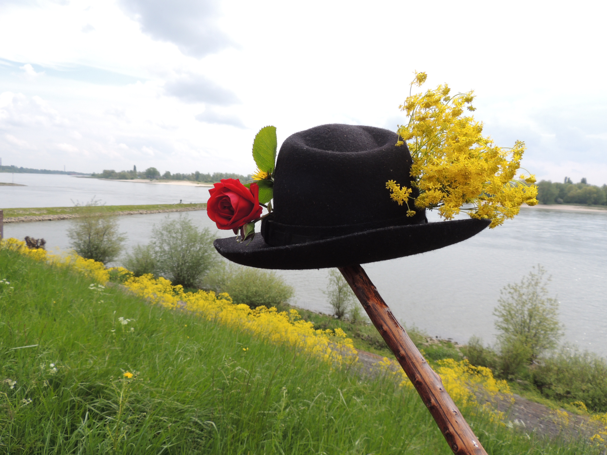 Nijmeegs Natuurfestival: Hoedje Lingezegen