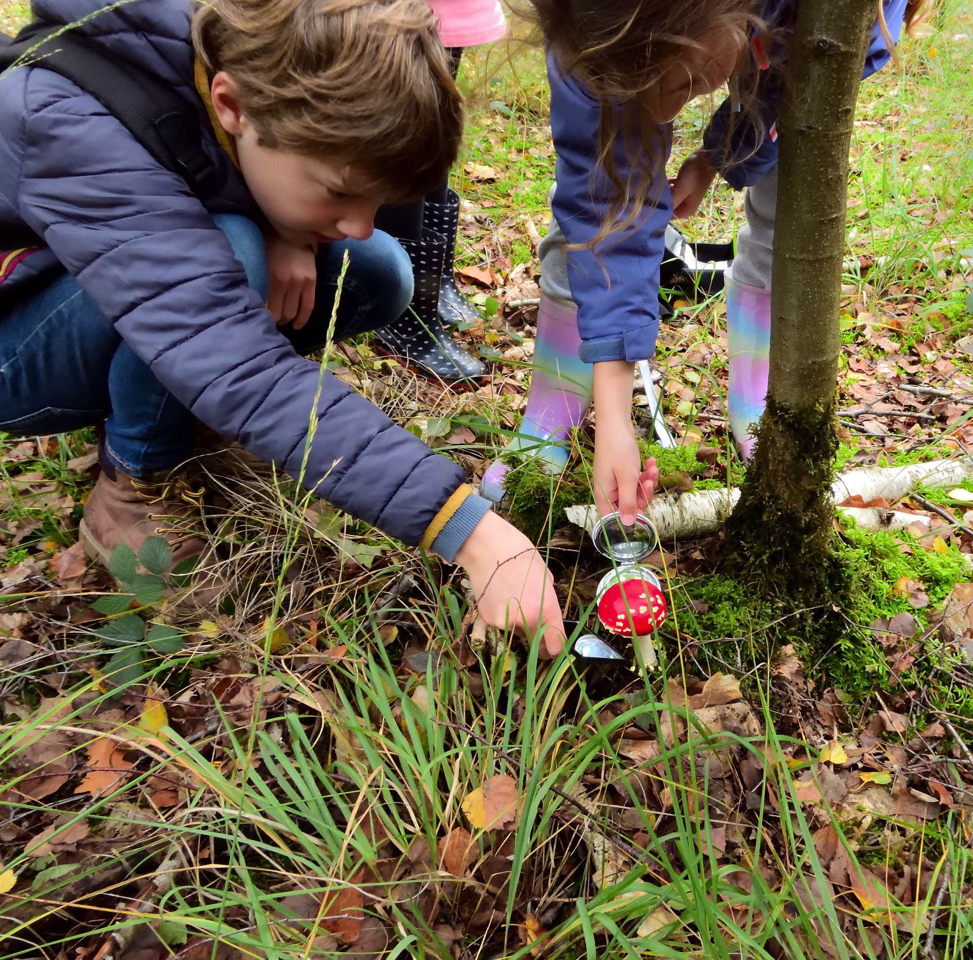 Ontdekkingstocht Paddenstoelen