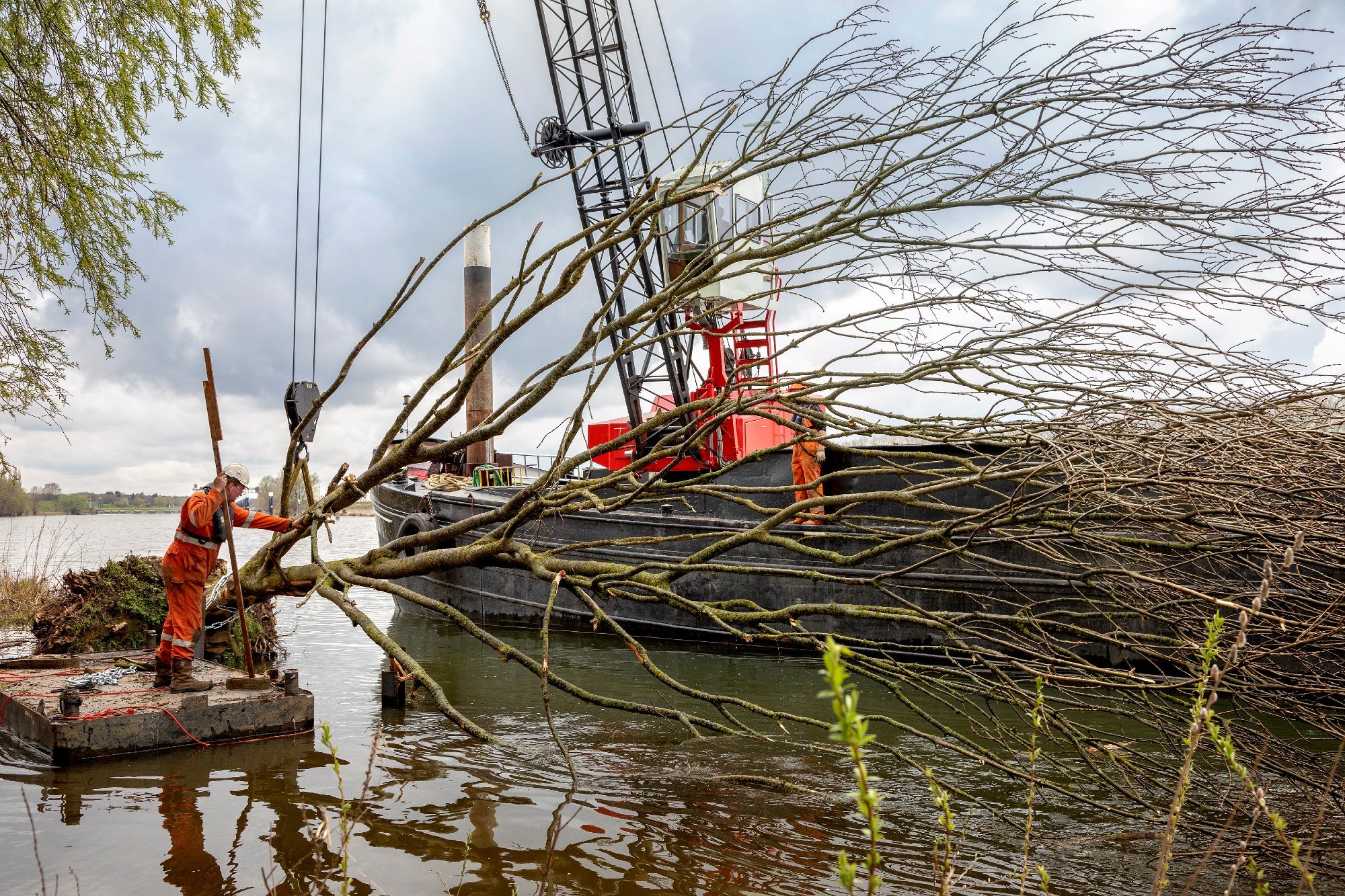 Het plaatsen van rivierhout (foto: Rijkswaterstaat)