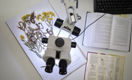 Onderzoeksopstelling met microscoop boven een herbariumvel en rechts opengeslagen boeken.