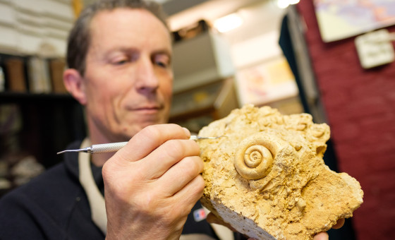 Man die met een klein kwastje een fossiel schoonmaakt.