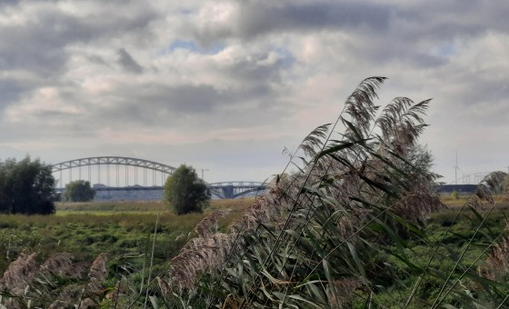 Struinentocht door de Stadswaard
