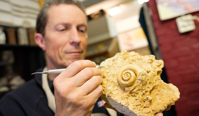Man die met een klein kwastje een fossiel schoonmaakt.