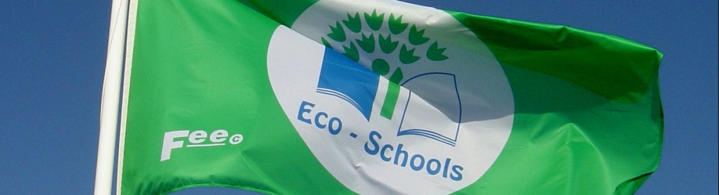 EcoSchool vlag
