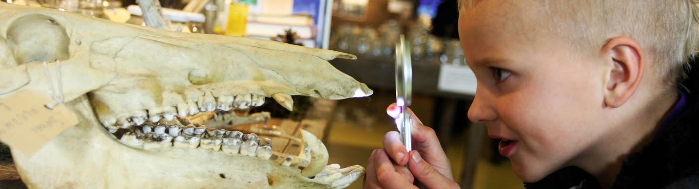 De Kids Club van De Bastei