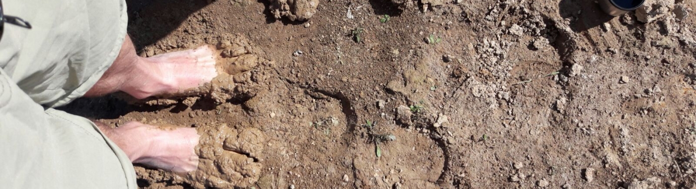 Dwaalzin: Blotevoetenwandelingen