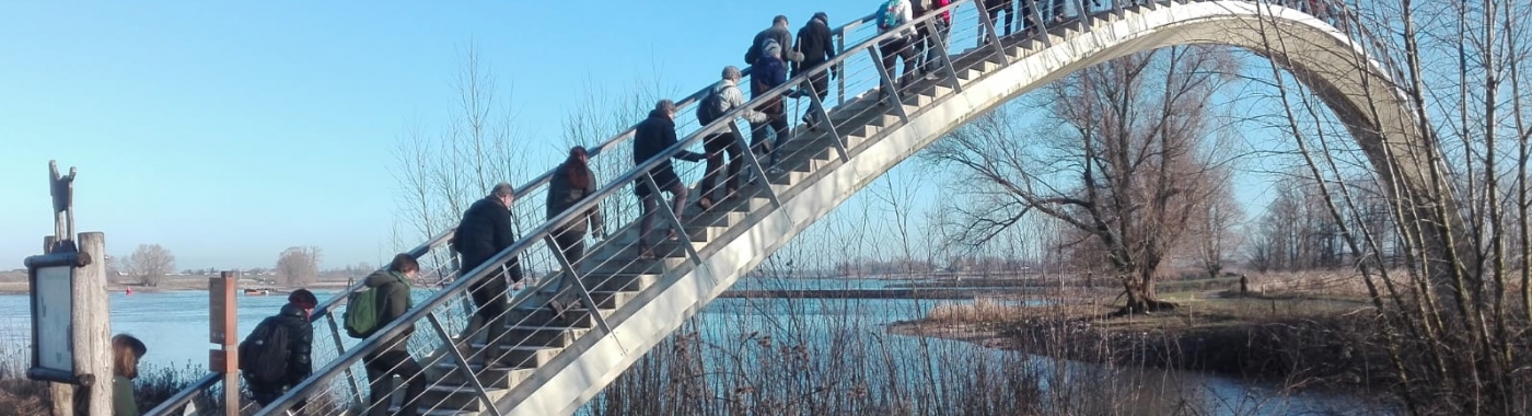 Dwaalzin: Een brug naar het hier-en-nu
