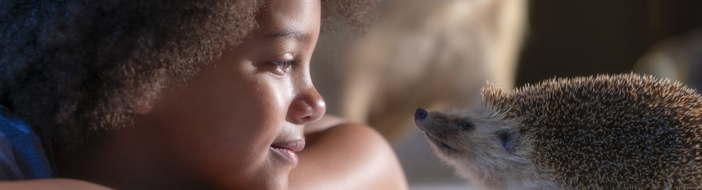 Jonge bezoeker bekijkt egel van dichtbij