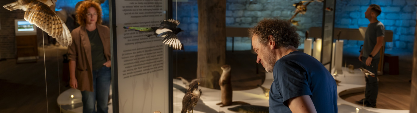 Ontdek de andere bewoners van deze bijzondere plek aan de rivier.