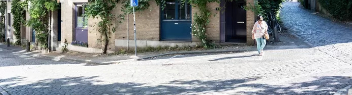 Groen begroeide gevels in de Benedenstad in Nijmegen helpen om hittestress tegen te gaan. Als de zon erop staat, warmen stenen veel meer op dan planten en struiken. © Paul Rapp
