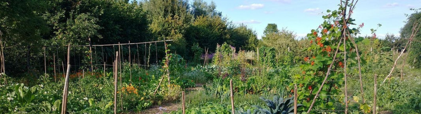 Nijmeegs Natuurfestival - Open dag Land van Ooij