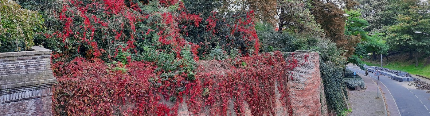 Wandeling 'Ommuring van Nijmegen'