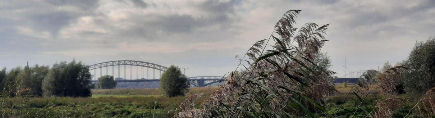 Struinentocht door de Stadswaard