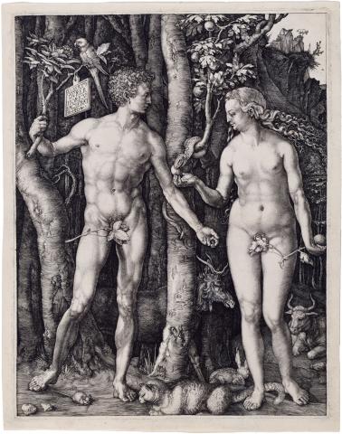 Adam en Eva, Albrecht Dürer, kopergravureontwerp (1504)