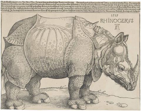 Albrecht Dürer - Neushoorn (1515)