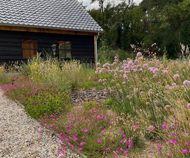 NL bloeit tuinontwerp