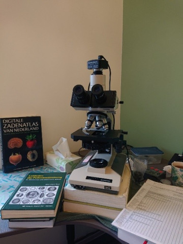 Basteicafé: Hoe inheems is inheems?