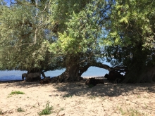 Beleef de Waal in stilte