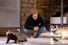 Bezoekers bekijkt das en bever in het museum.