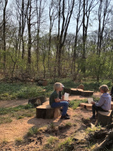 Ontdekkingstocht: Bomen over bomen