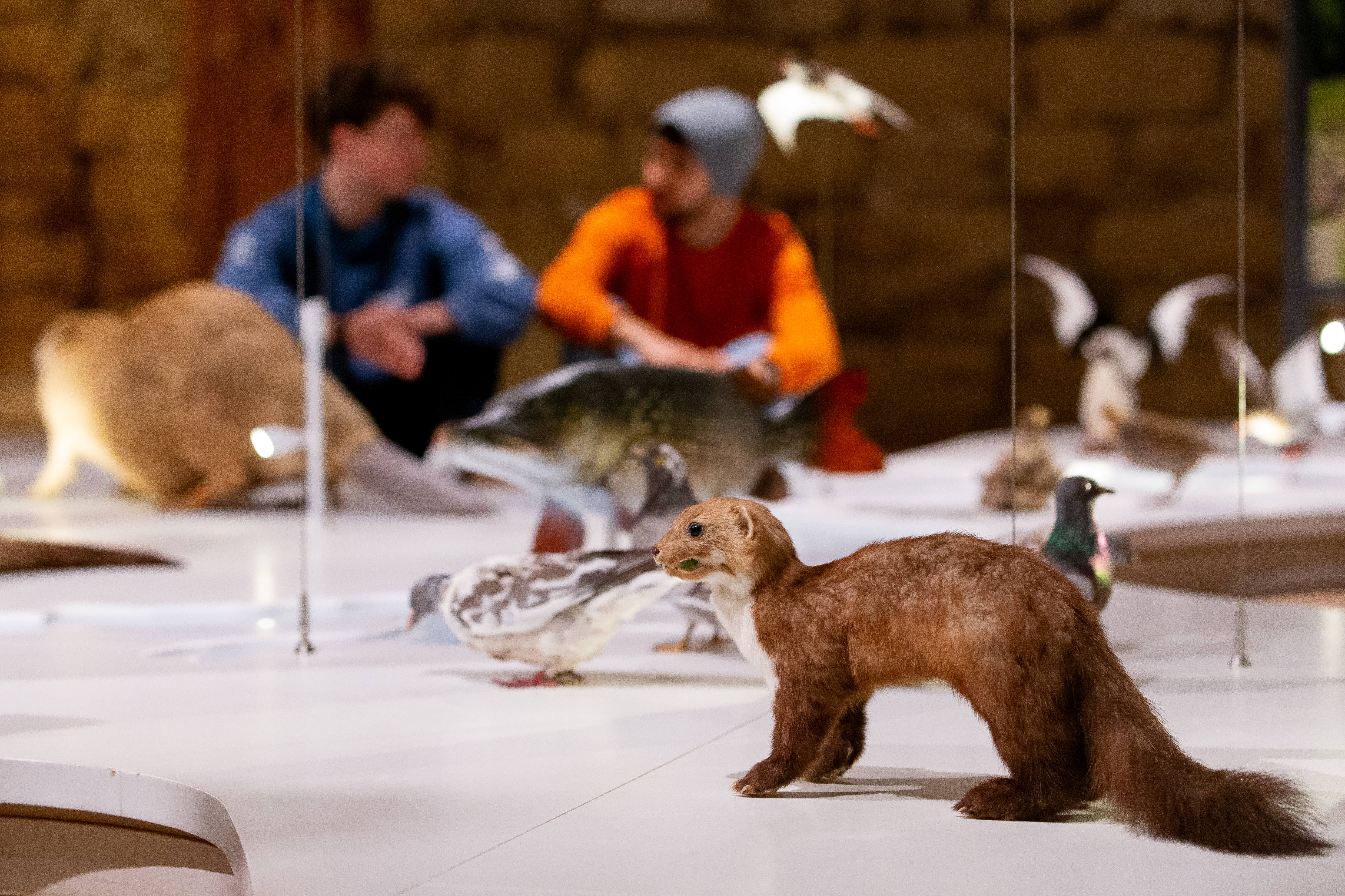 Vrienden op bezoek in het museum